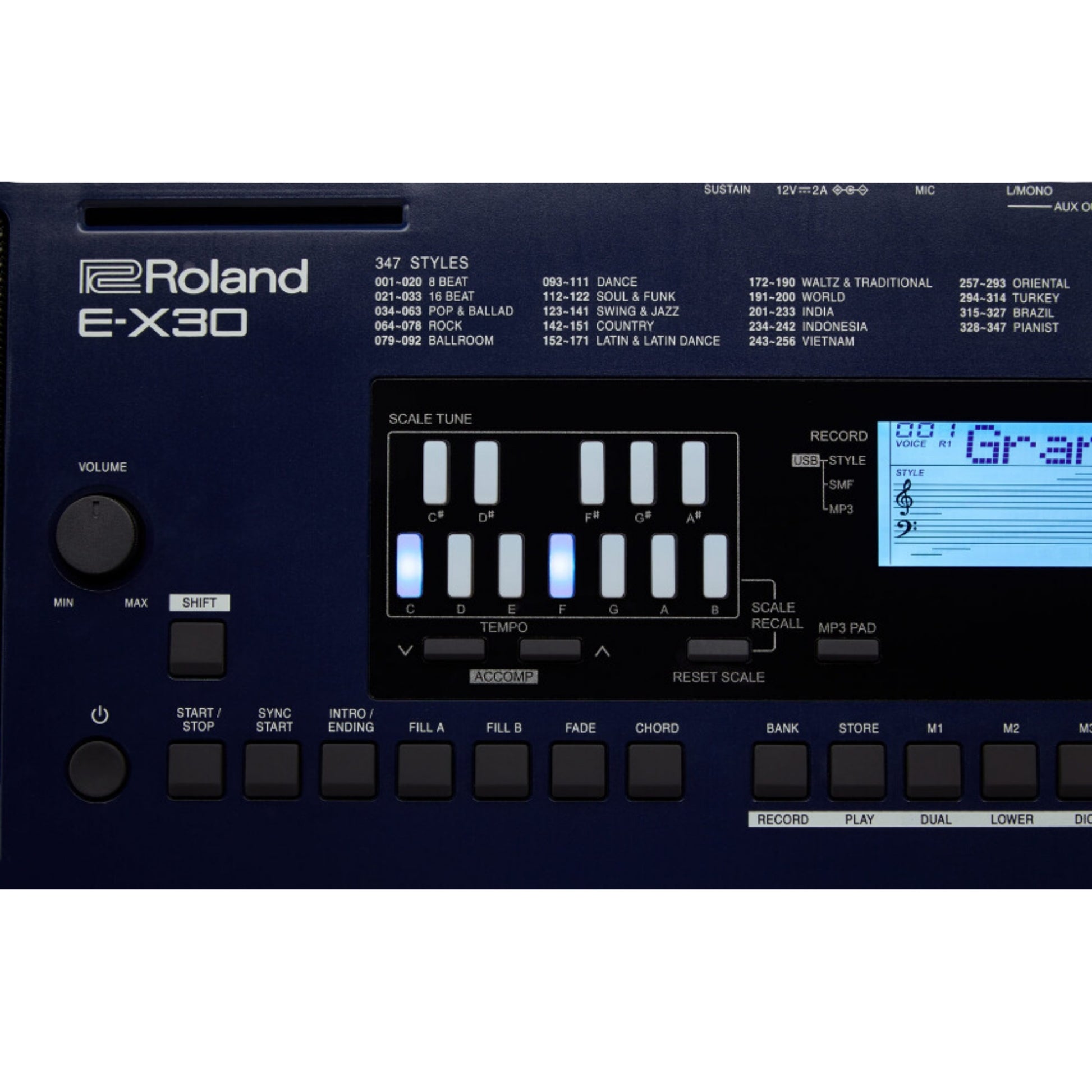 Roland E-X30 Close-Up of Control Panel: Close-up view of the Roland E-X30 control panel, displaying the arranger and MP3 playback functions.
