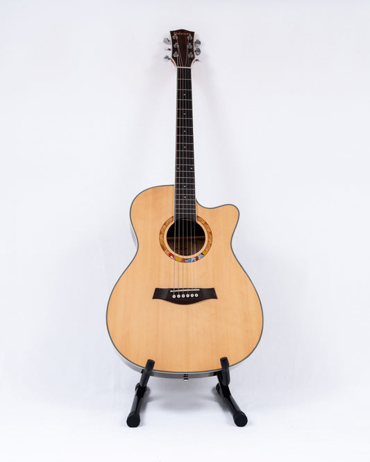 BABSON Guitar AFG40C-07