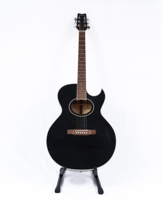 WASHBURN Acoustic Guitar Model-EA9B